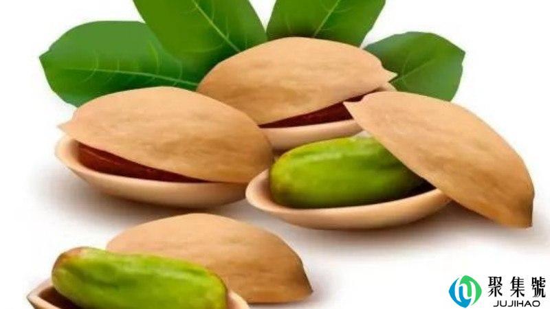 坚果壳属于哪类垃圾