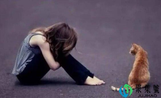 快餐恋爱什么意思