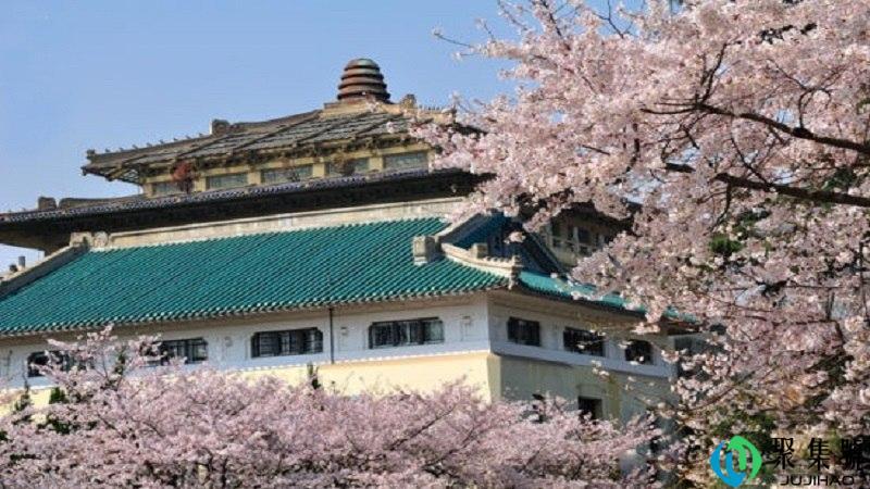 武大樱花什么时候开