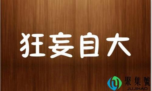 中二气十足是什么意思