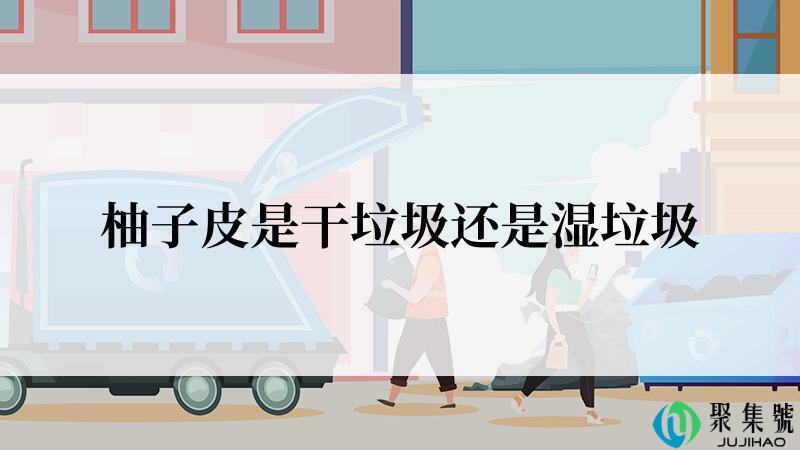 柚子皮是干垃圾还是湿垃圾