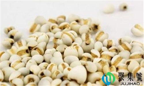 大薏仁米和小薏仁米的区别是什么