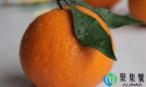 青见柑橘又叫啥