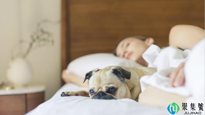 网络虚浮是什么意思