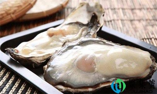 活生蚝可以放几天