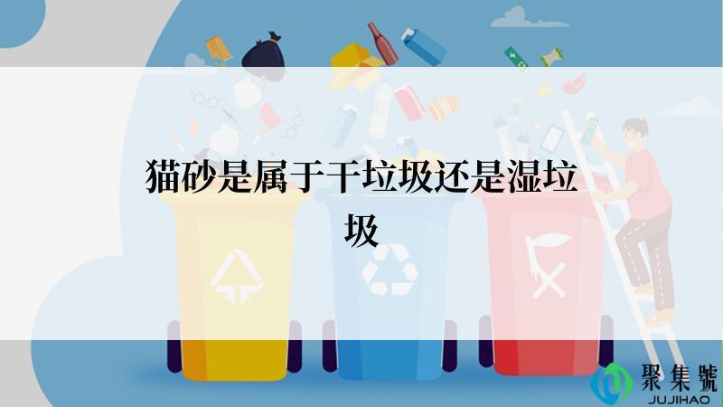 猫砂是属于干垃圾还是湿垃圾