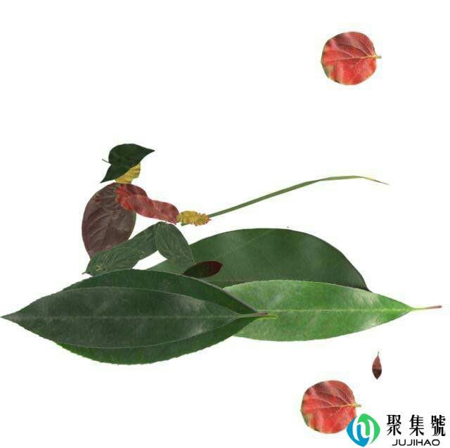 三捆树叶是什么意思