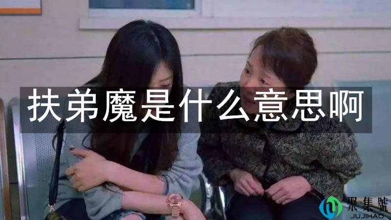 扶弟魔是什么意思啊