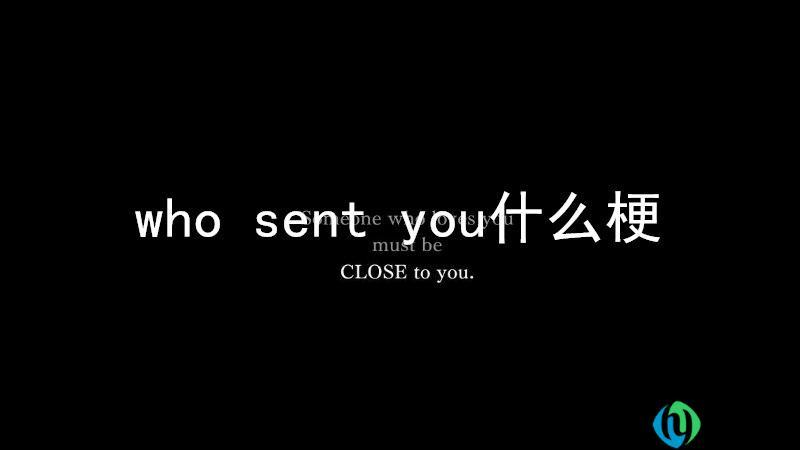 who sent you什么梗