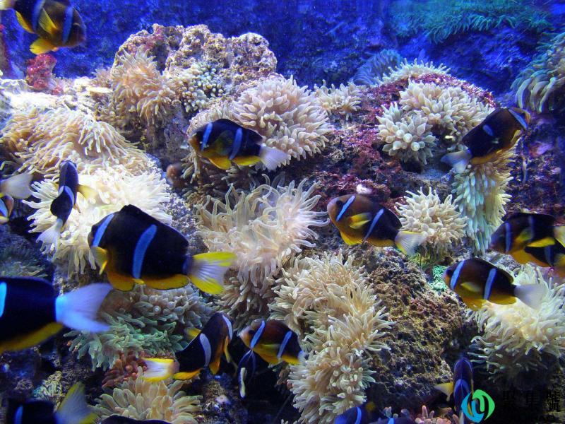 海底世界的特点是什么