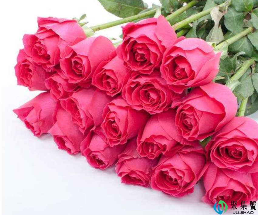 15支玫瑰代表什么意思