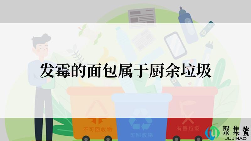 发霉的面包属于厨余垃圾