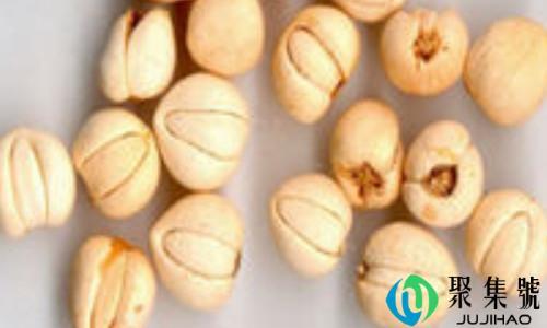 藏贝母和川贝母的区别