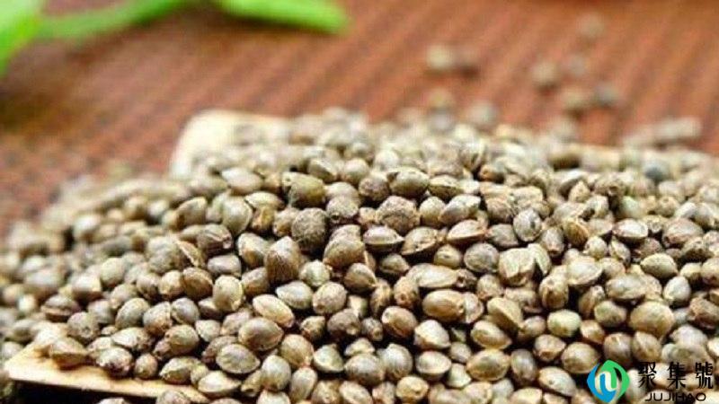 胡麻仁与火麻仁的区别