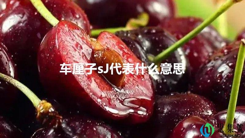 车厘子sJ代表什么意思