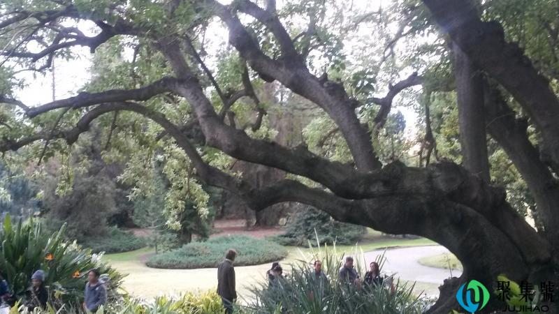 玉不琢不成器人不学不知义的意思