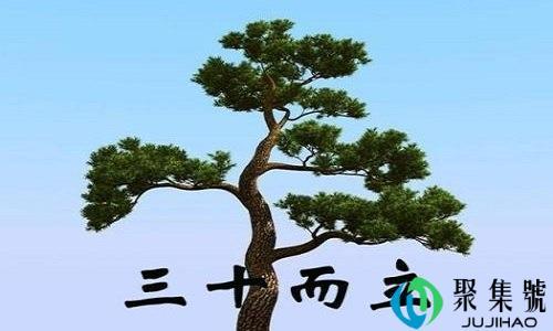 三十而立指的是什么意思