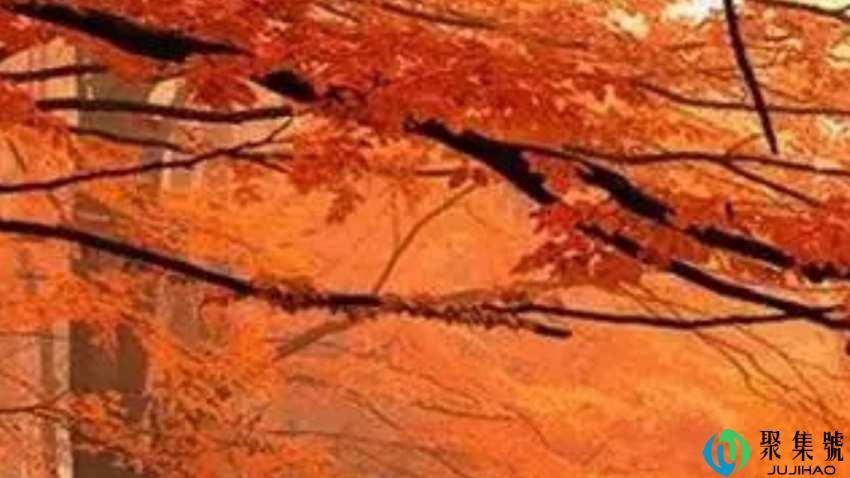 一日不见如隔三秋中的三秋是指多长时间