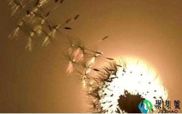 天道轮回的意思