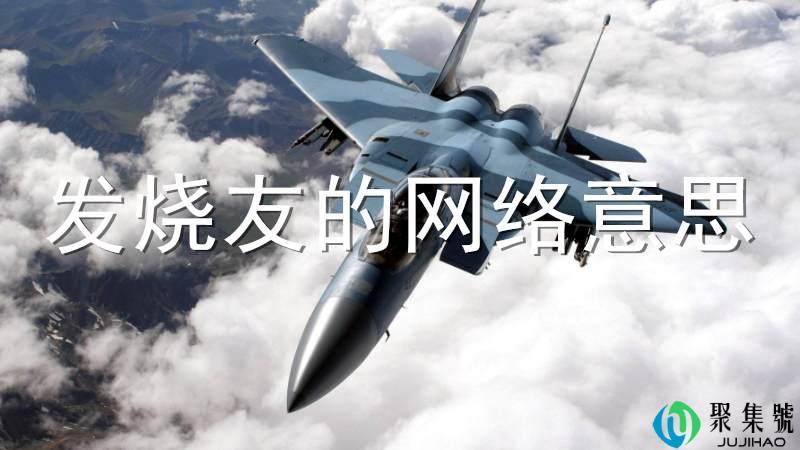 发烧友的网络意思