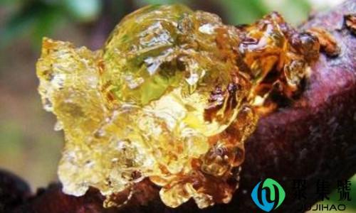 桃胶可以放多久