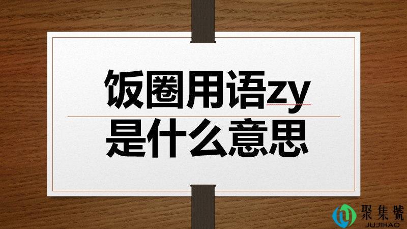 饭圈用语zy是什么意思