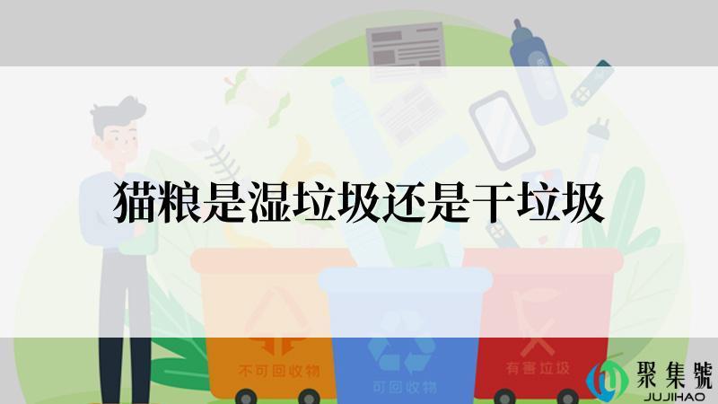 猫粮是湿垃圾还是干垃圾