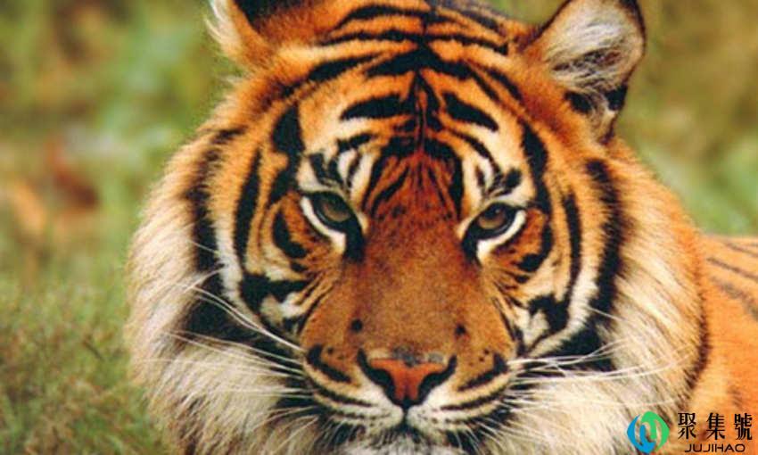 年风雨桥边什么意思