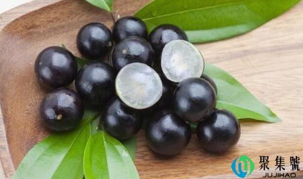 一斤嘉宝果配几斤酒来浸