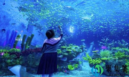 上海海昌海洋公园营业时间