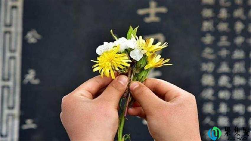 什么是文明祭扫