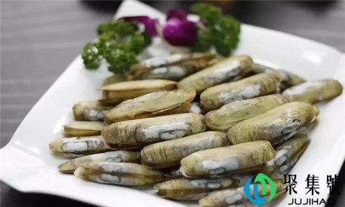 蛏子怎么保存可以活多少天