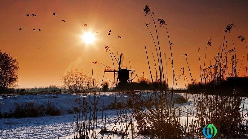 朝鲁是什么意思