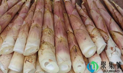 春笋和雷笋的区别