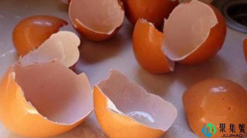 鸡蛋壳属于湿垃圾还是干垃圾