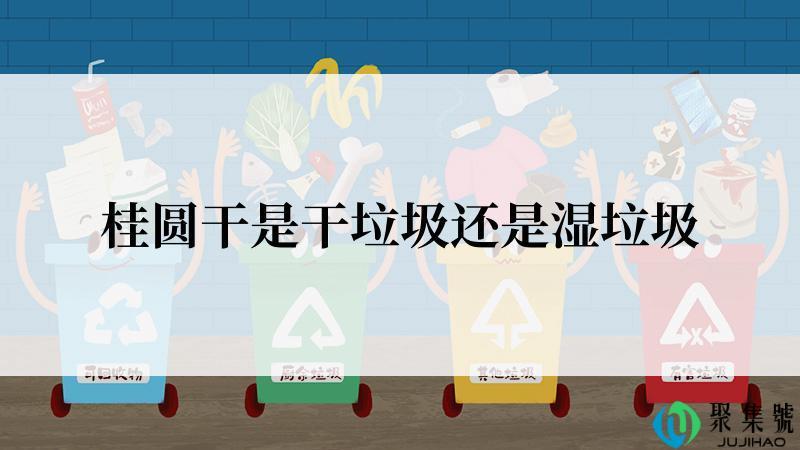 桂圆干是干垃圾还是湿垃圾