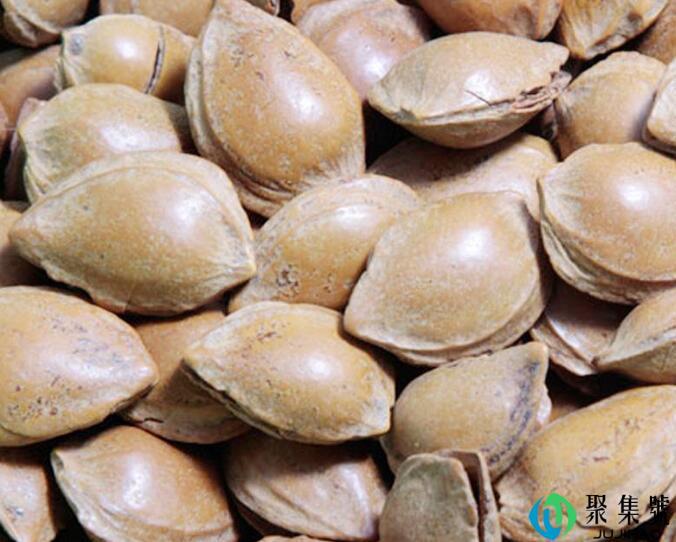 小白杏的杏仁可以生吃吗