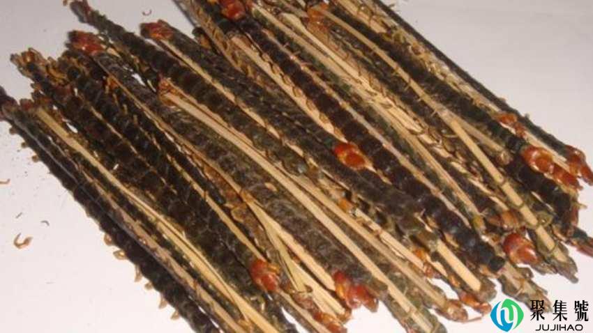 蜈蚣几条腿正确答案