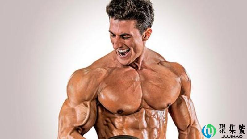 健体和健美的区别