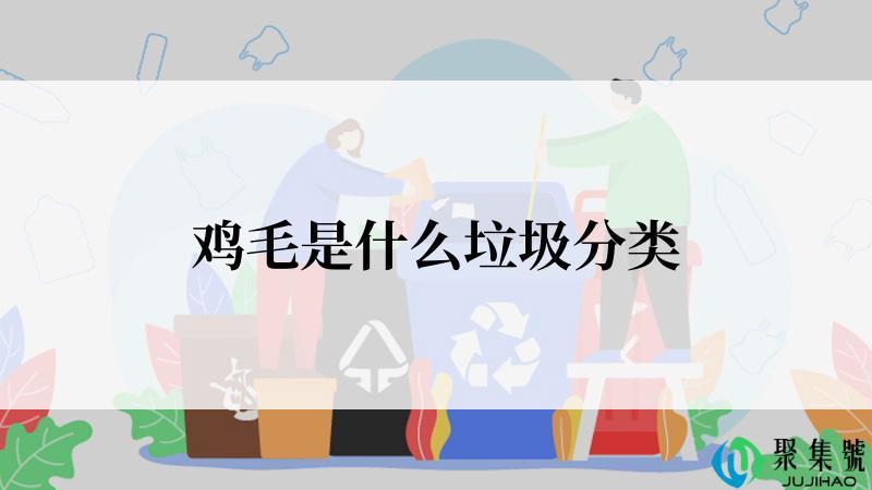 鸡毛是什么垃圾分类