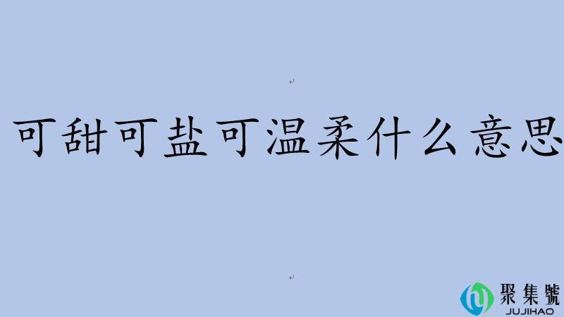 可甜可盐可温柔什么意思