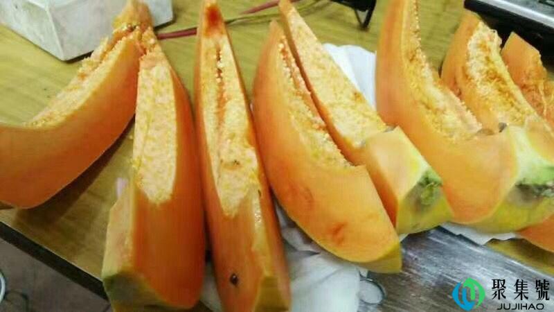 木瓜青的能放黄吗