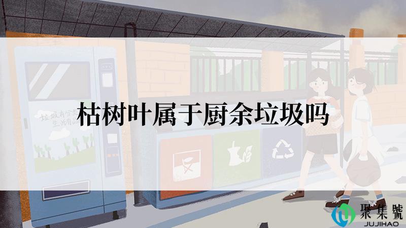 枯树叶属于厨余垃圾吗