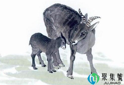 一三相连有四跟是什么生肖