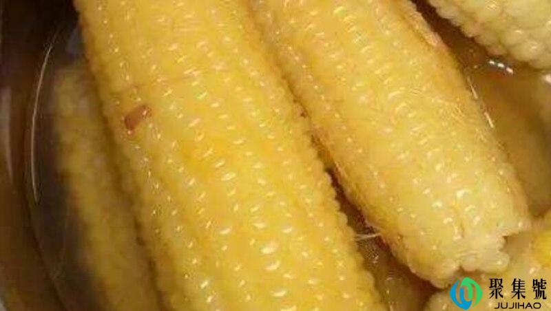 一根玉米的热量