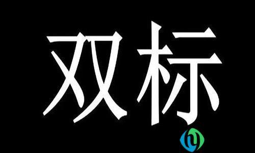 女生双标是什么意思
