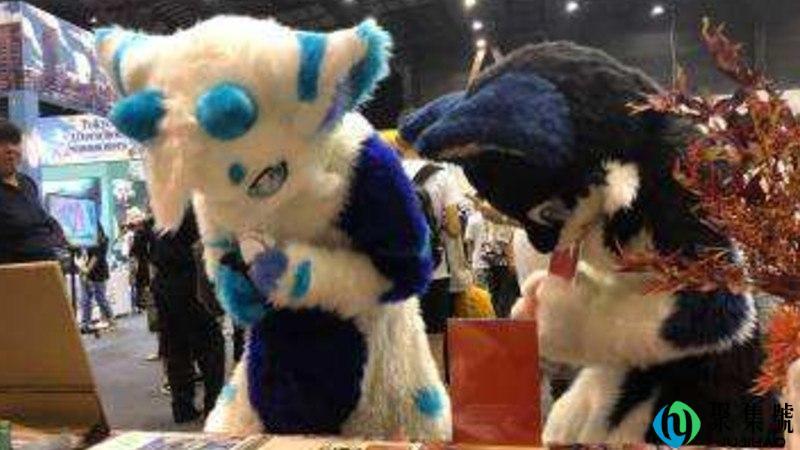 兽夏祭是什么意思