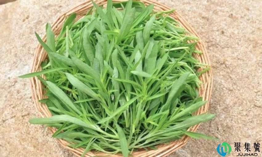 野菜小蒜怎么吃好吃