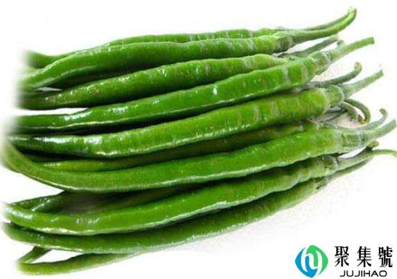 二荆条和线椒哪个更香