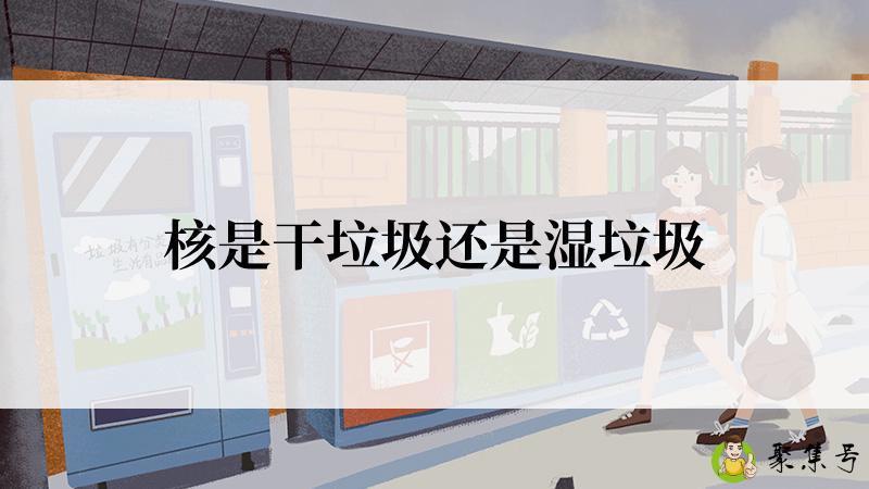 核是干垃圾还是湿垃圾